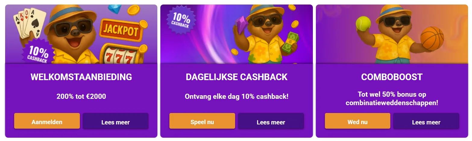 PartySpins Casino Bonussen