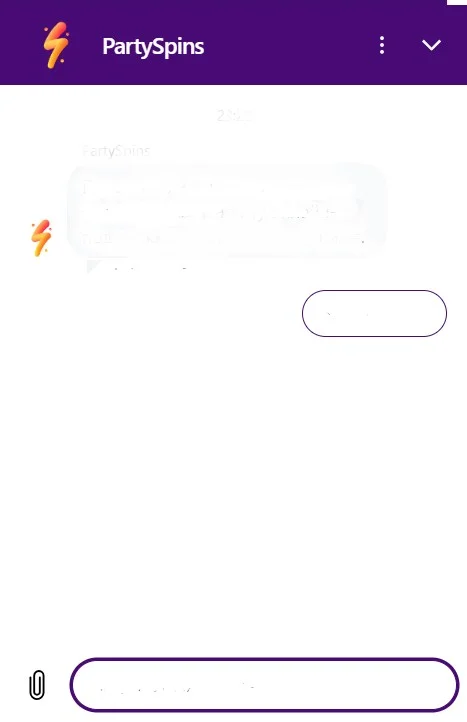 PartySpins Casino support